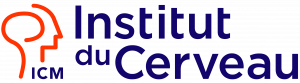 Client ICM